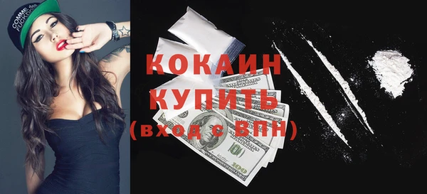 сатива Верея