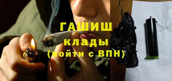 сатива Верея
