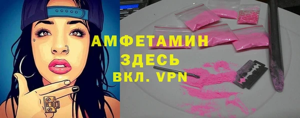 сатива Верея