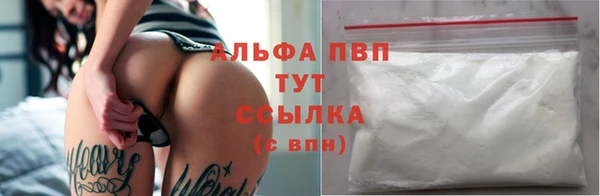 сатива Верея