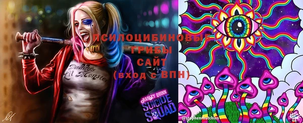 сатива Верея