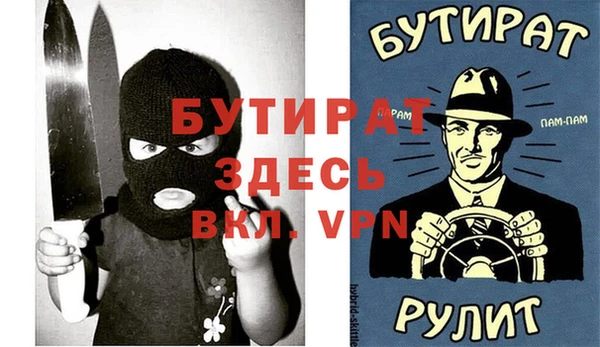 сатива Верея