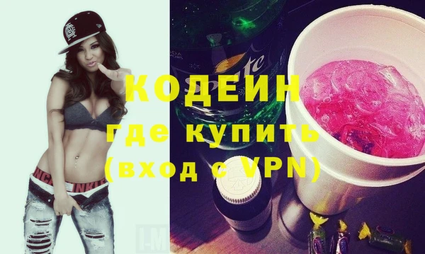 дмт Бородино