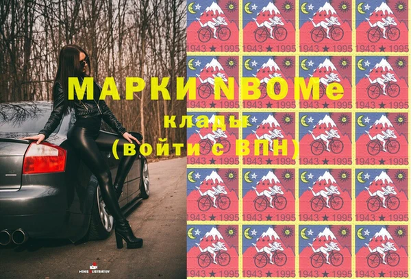 дмт Бородино