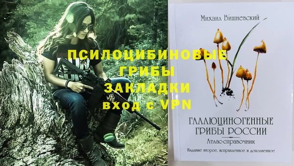 сатива Верея