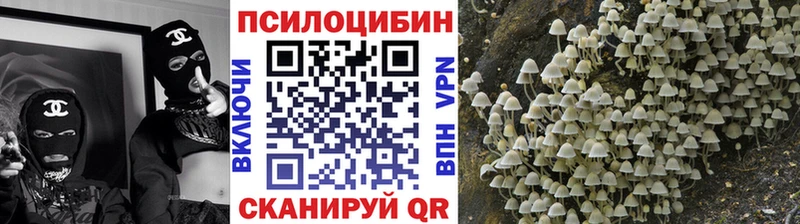 Псилоцибиновые грибы ЛСД Ижевск
